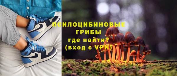 кокс Бородино