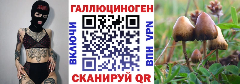 OMG ссылки  Балашиха  Псилоцибиновые грибы прущие грибы  где можно купить наркотик 